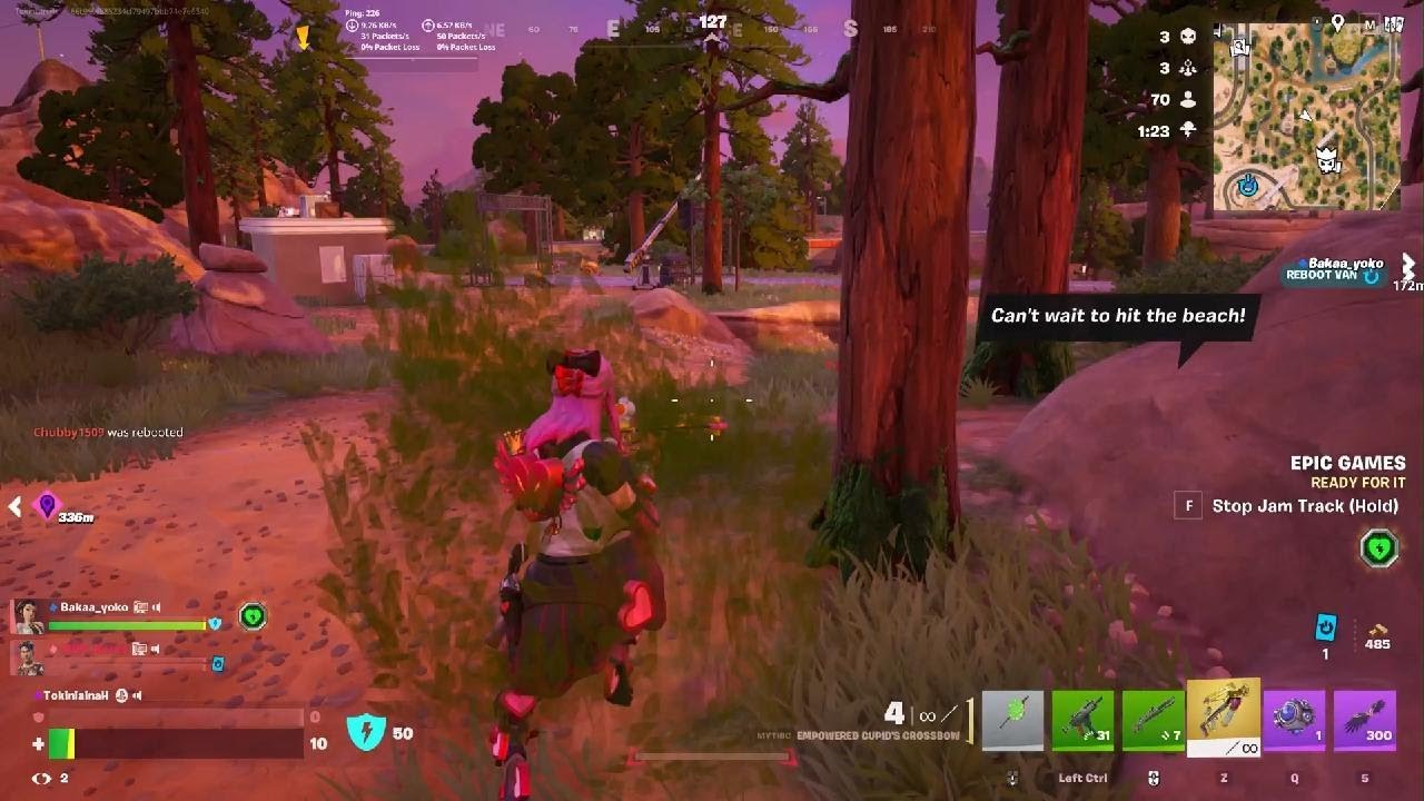 Fortnite_20260215001553