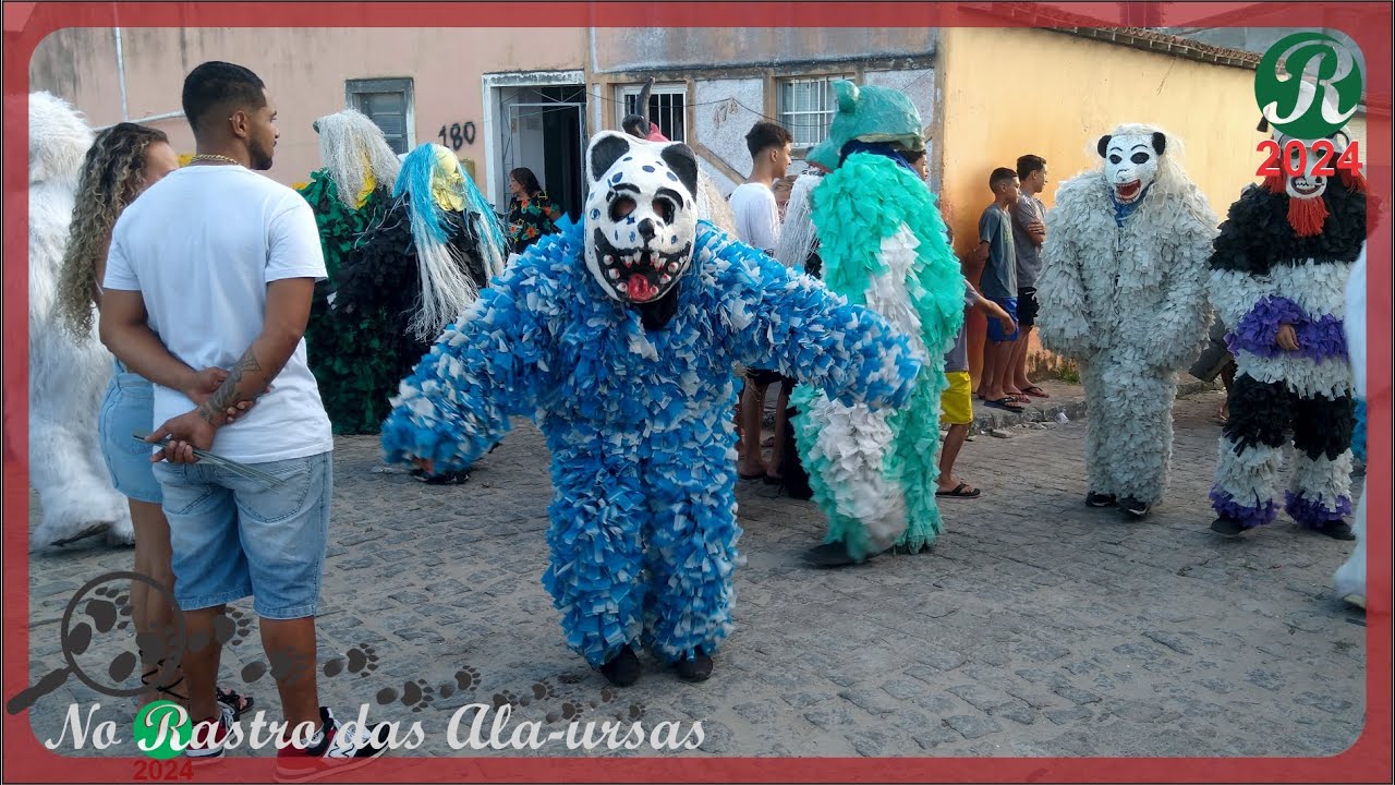 Ala-ursa 2024.19 | No Rastro das Ala-ursas | 2101