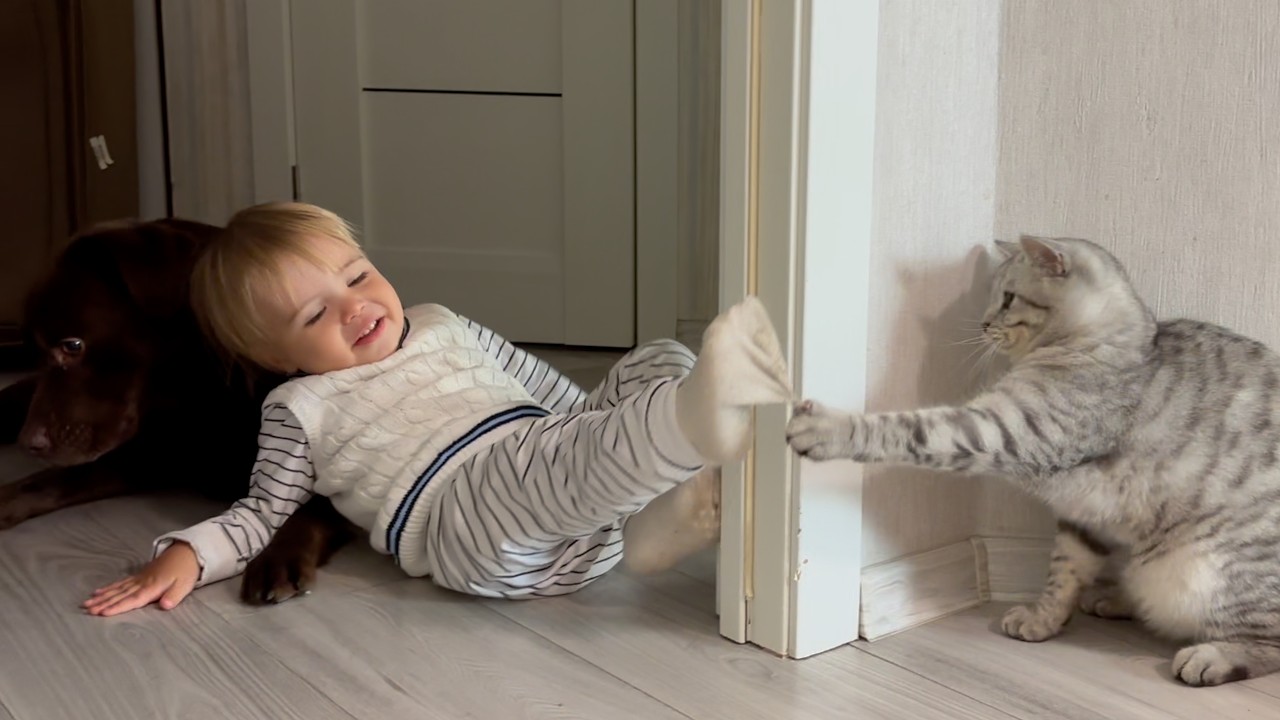 The Sweet Moment Between Adorable Baby and His Furry Friends