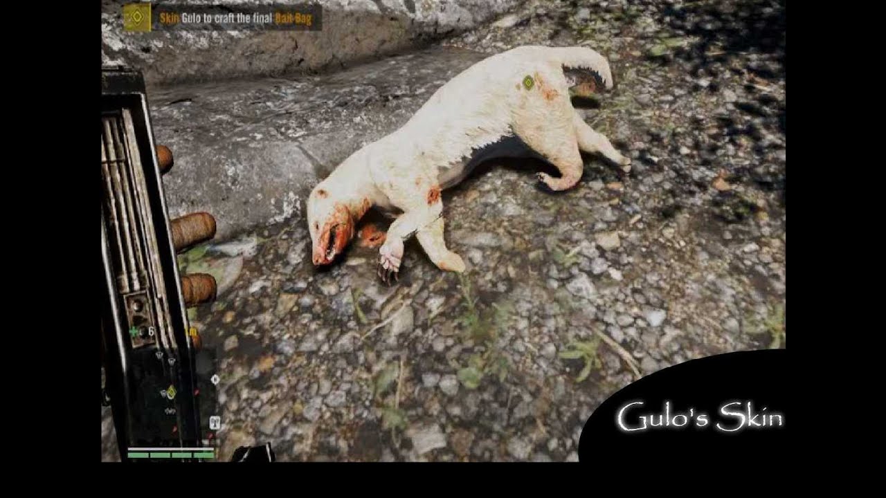 Far Cry4 Gulo's Skin ล่าสัตว์แรร์ #1