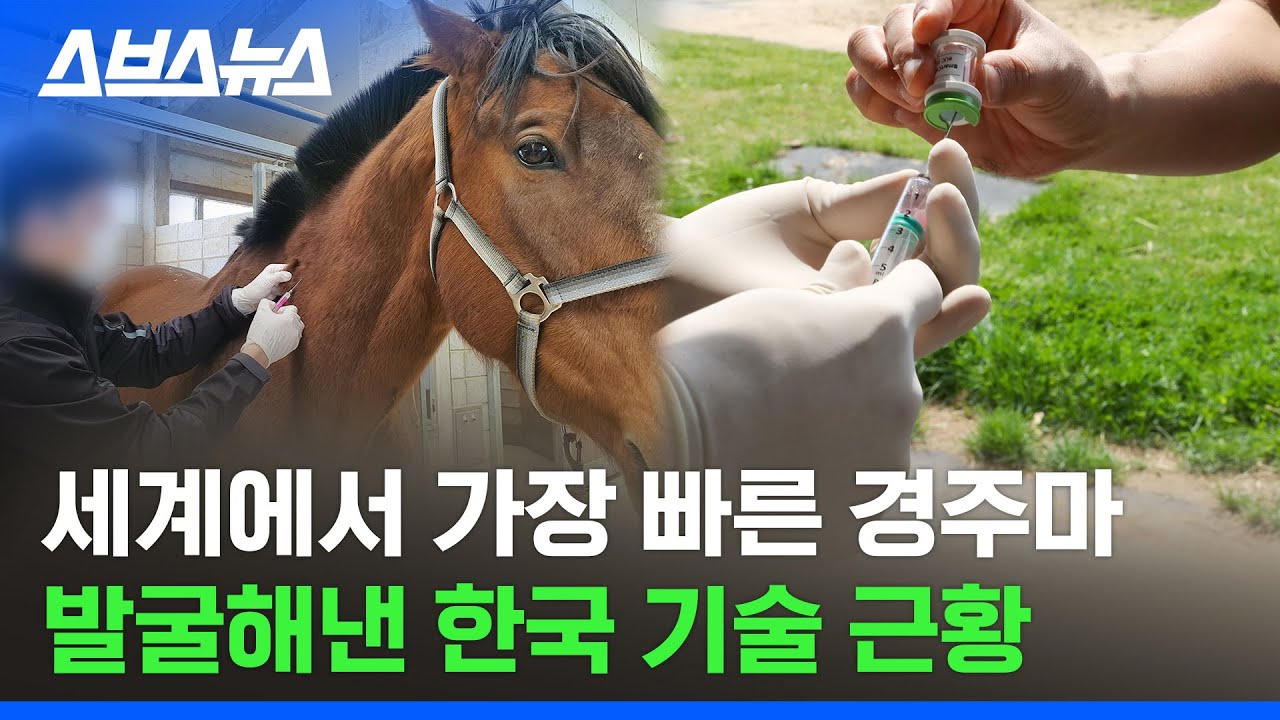 한 번도 안 뛰어본 말에 1억을 태워? 도박 아니고 과학 기술입니다요 / 스브스뉴스