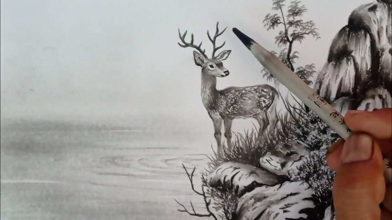How to learn draw of a deer landscape by pencils live. GP Like is live !