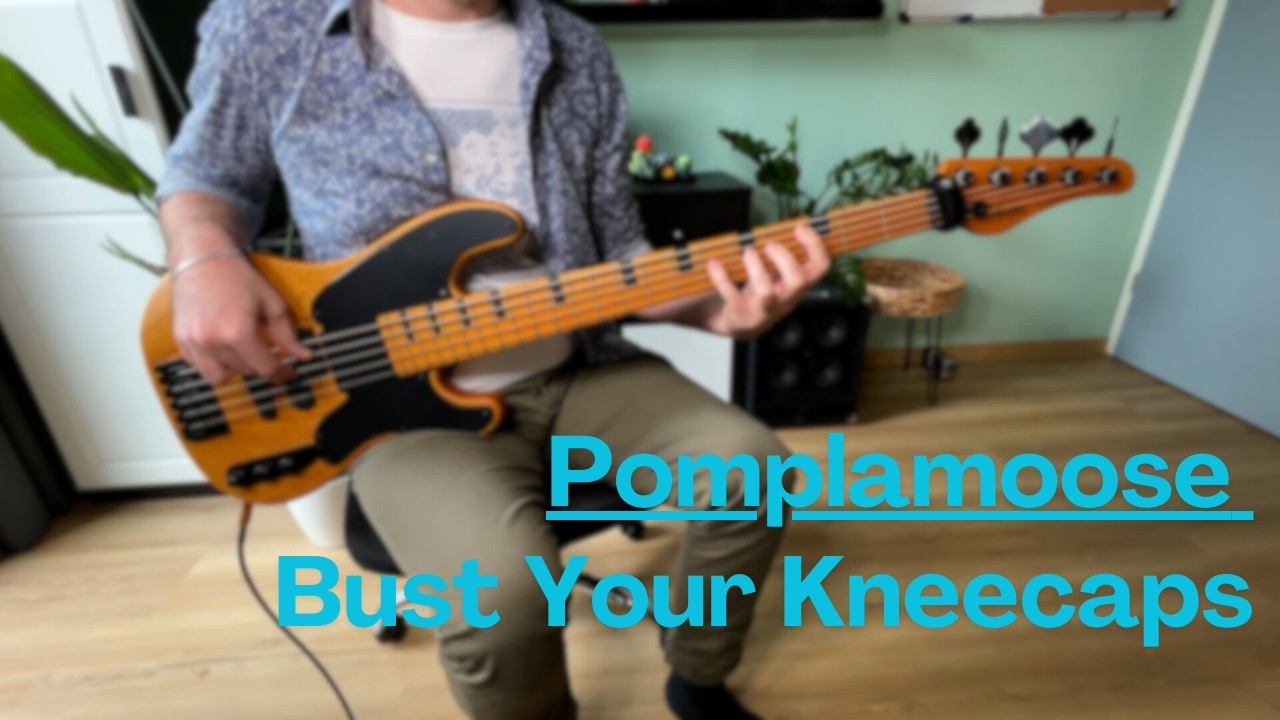 Pomplamoose - Bust Your Kneecaps - Bass Cover