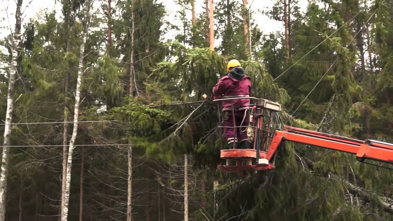 Diena pēc vētras - postījumu likvidēšana, elektrotīkla sakārtošana Kurzemē 29.10.2013.