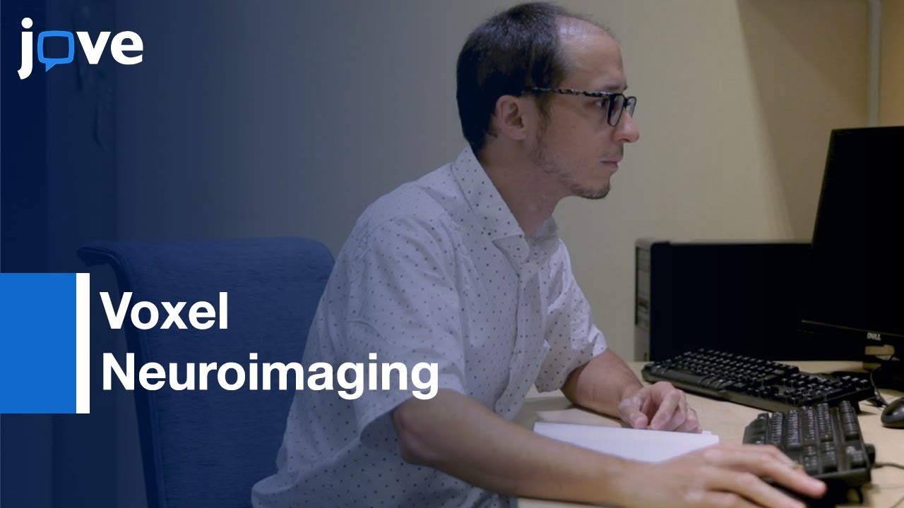 Voxel Based Neuroimaging