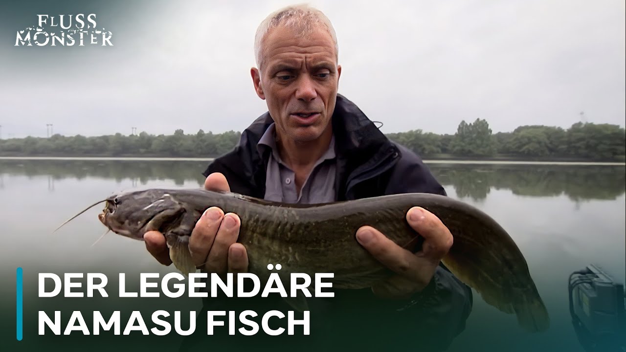 Dieser Fisch macht ganze Dörfer nervös | Fluss Monster
