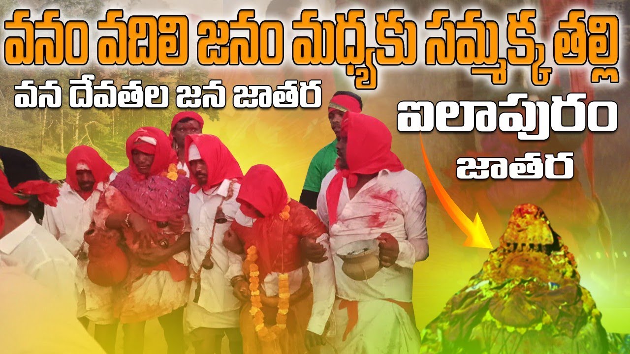 ఎంతో వైభవంగా వనం నుండి గద్దెల దగ్గరకి సమ్మక్క తల్లి || Ilapuram sammakka sarakka jatara 2025