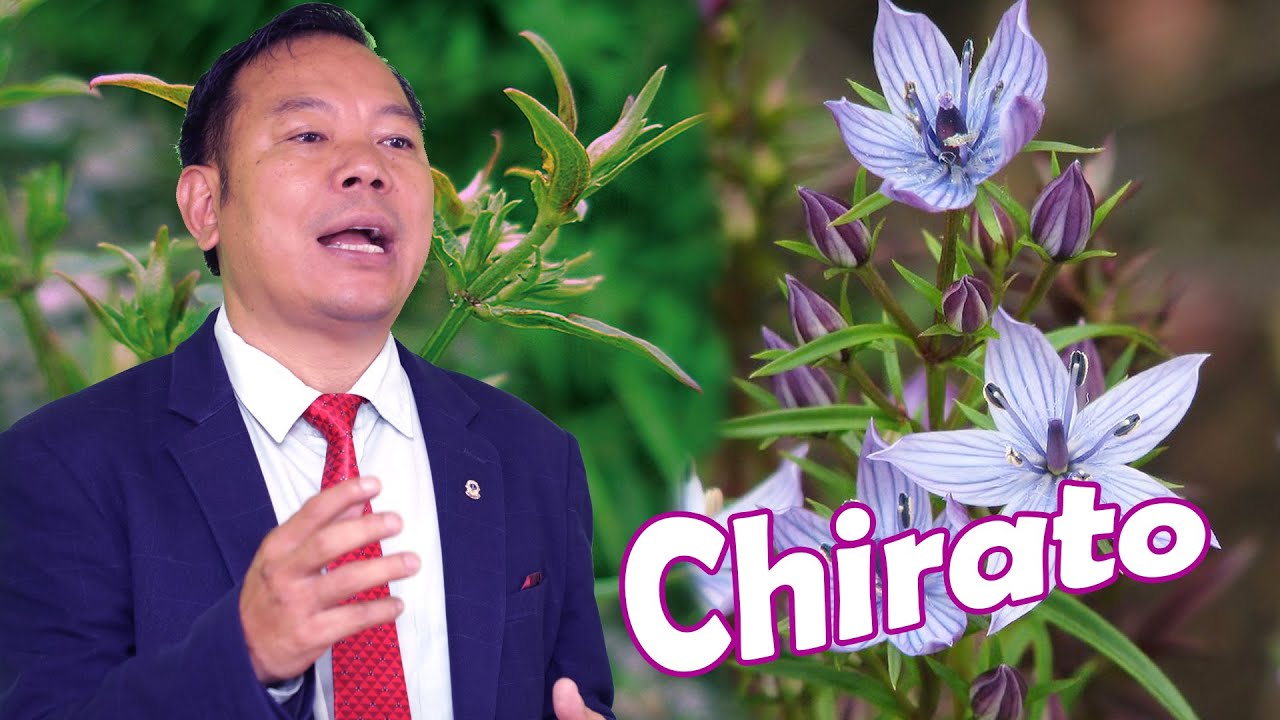 Chirato || DrDB | Dr. DB Sunuwar | Holistic Health | Holistic Online TV