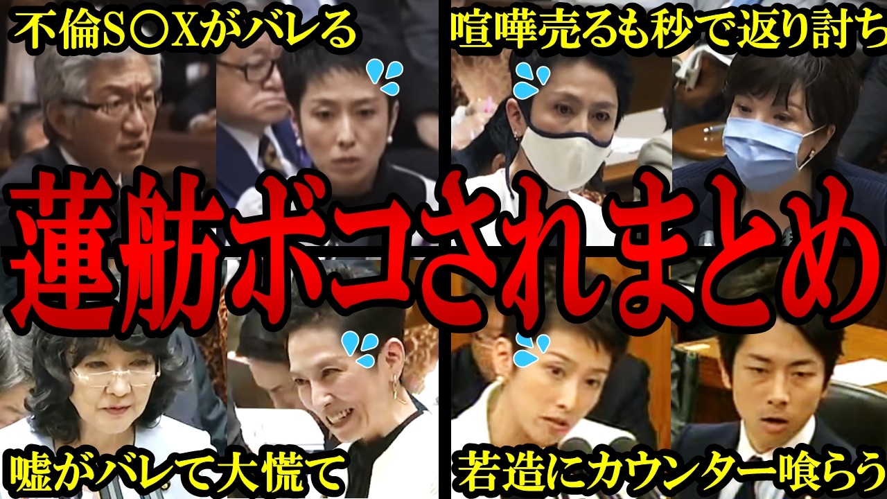 【蓮舫まとめ】偉そうな態度で喧嘩を売るが、相手が強すぎて半泣きにさせられる立憲・蓮舫議員まとめ【バチバチ国会　国会】