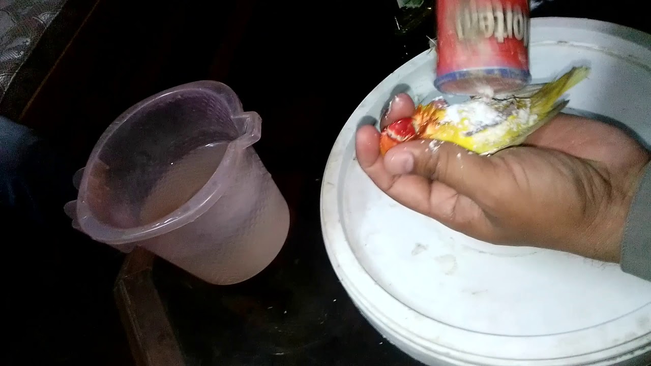 How to use coopex powder Birds. how to use coopex powder Breeding  Box   urdu /Hindi by birds care