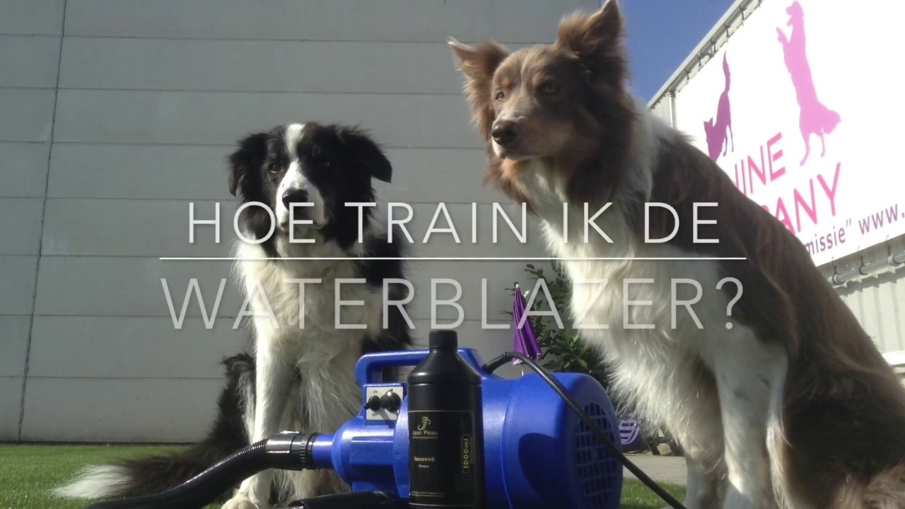 waterblazer