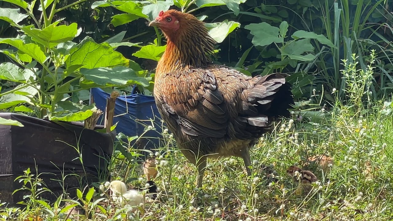 She’s trying to protect her baby from bad situations 