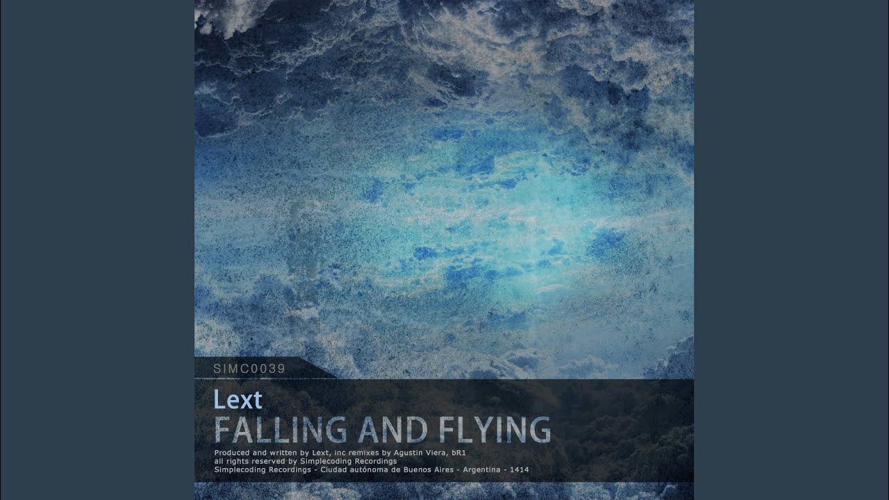 Falling & Flying (Original Mix)