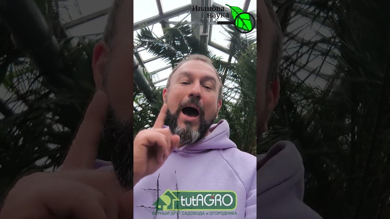 Срочно сеем в МАРТЕ БЕЗ ПОДСВЕТКИ! Список культур, которые нельзя пропустить. 2026 год - посев семян