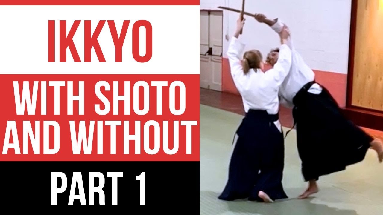 Transform Your Technique with Shoto & Empty-Hand Practice | Aikido Summer Camp Pt 1