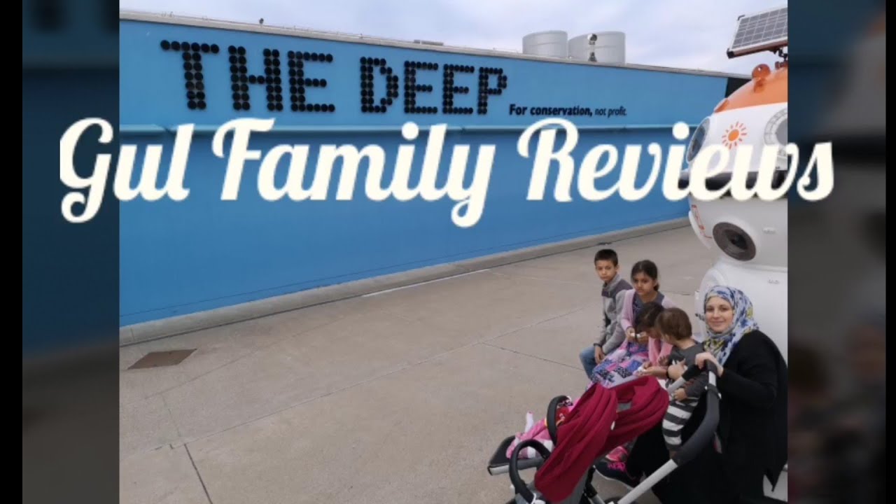 The Deep Hull Aquarium UK The Gul Family Reviews