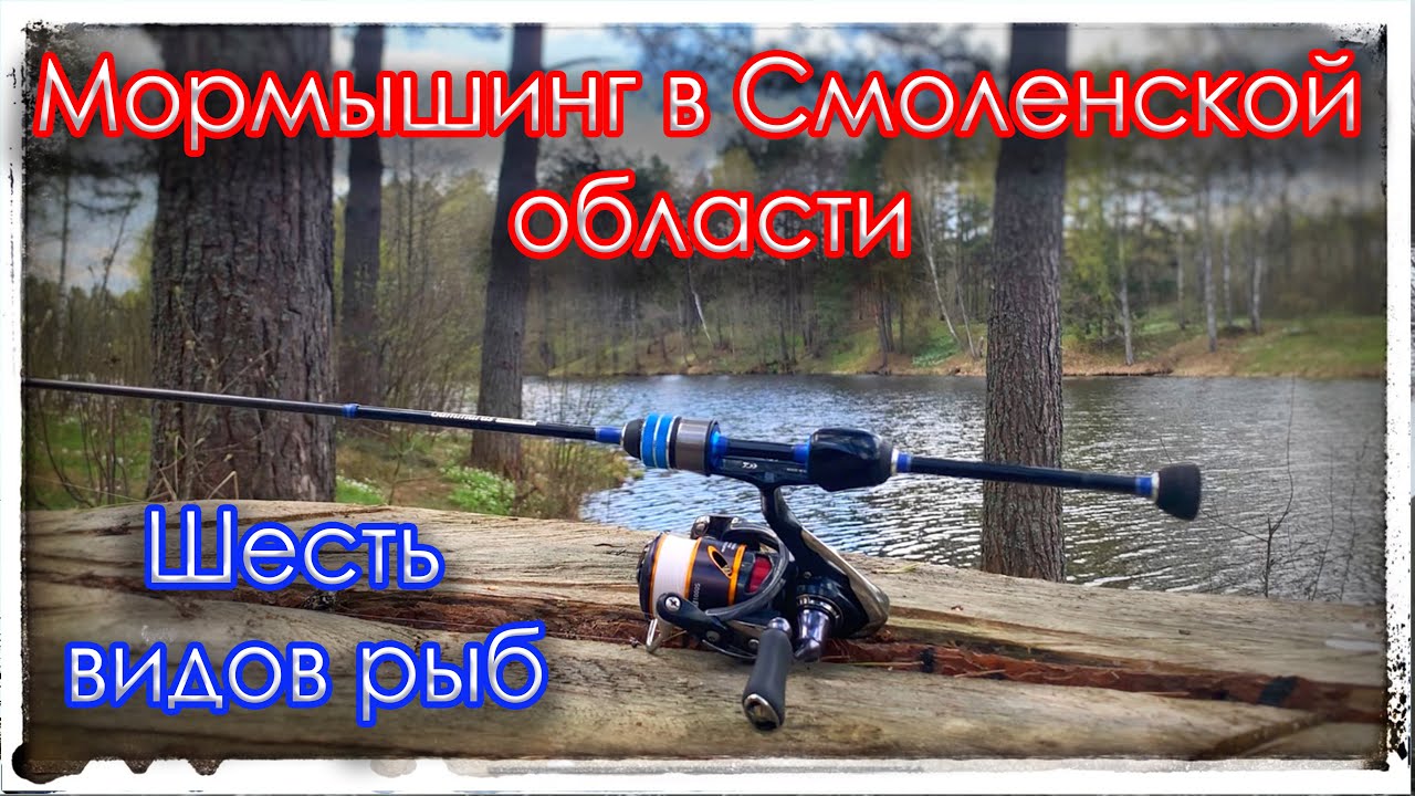 Мормышинг в Смолеской области.  Шесть видов рыб. Gammarus