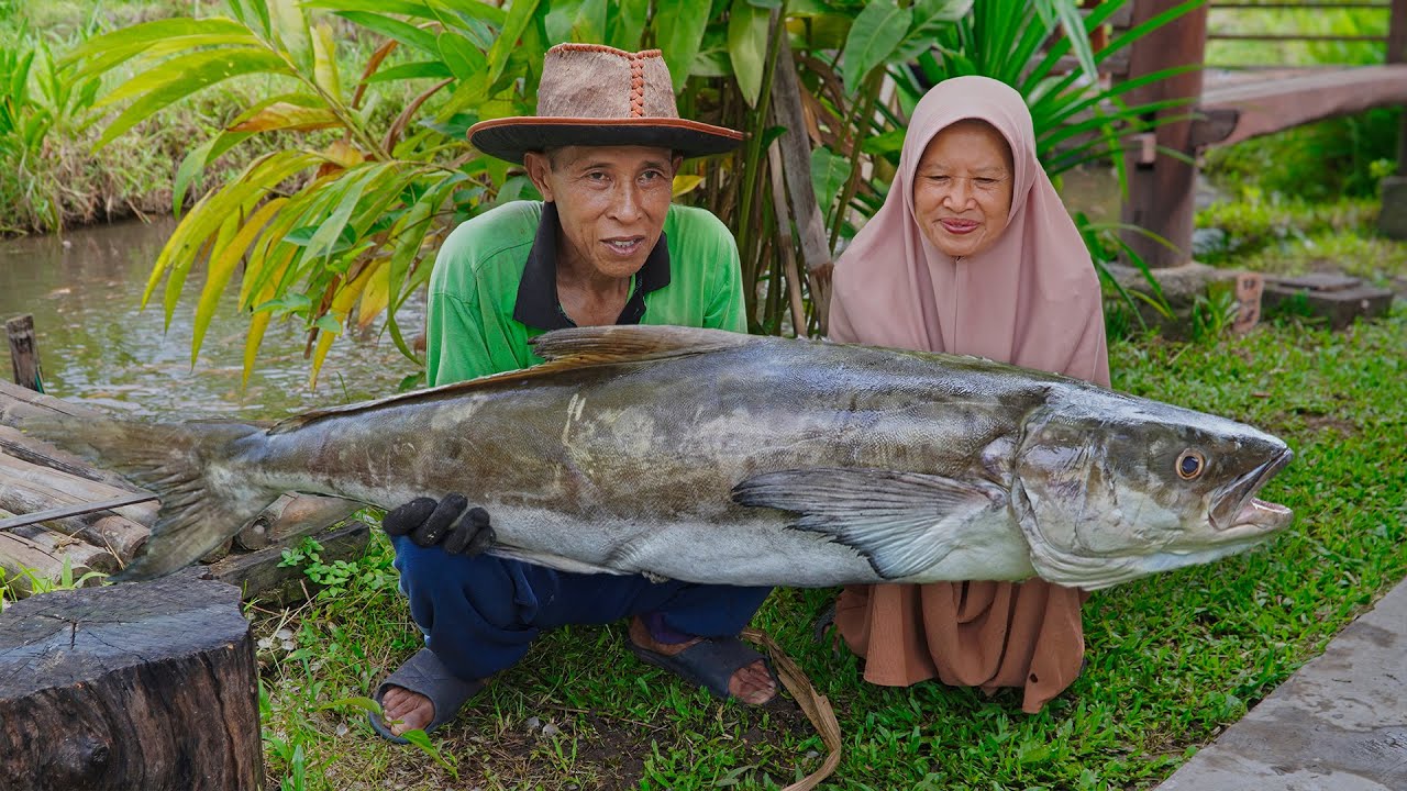 Masak Spesial Siomay Ikan Cobia Jumbo | Minuman Rempah Wedang Uwuh Menikmati Bersama Anak Cucu