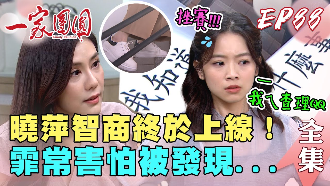 一家團圓 第88集 Family Reunion EP88 曉萍智商終於上線！霏霏超怕被發現｜完整版｜【ADF膠原蛋白飲Plus】