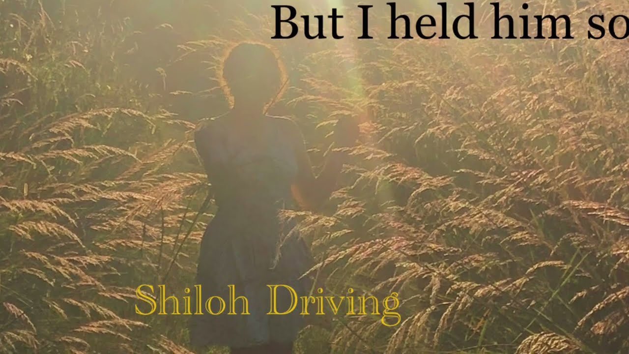 Facade - Shiloh Driving