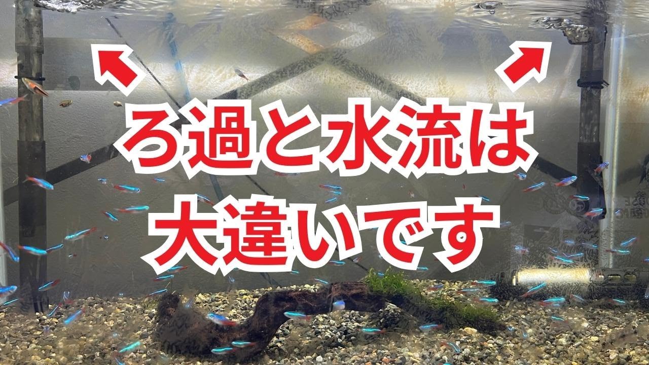 【これが全て】ろ過フィルターを変えれば汚れなくなる理由
