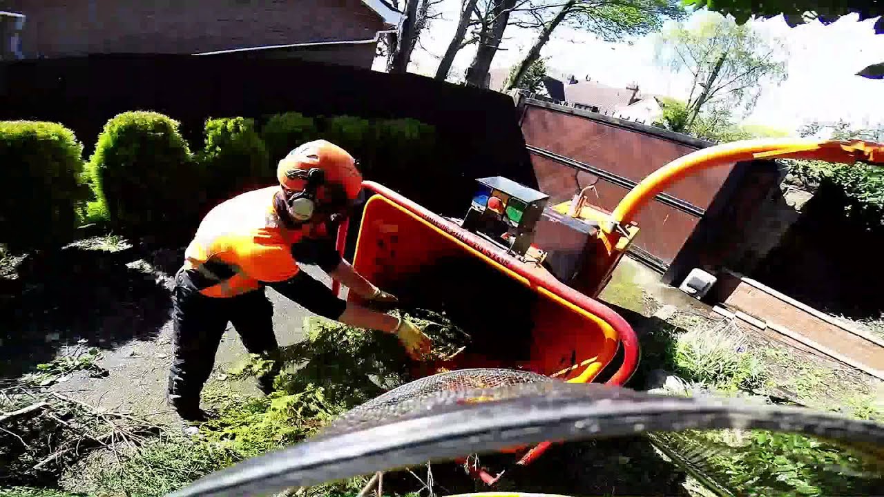 Timberwolf TW 150 VTR, woodchipper, Timberline Roe Ltd