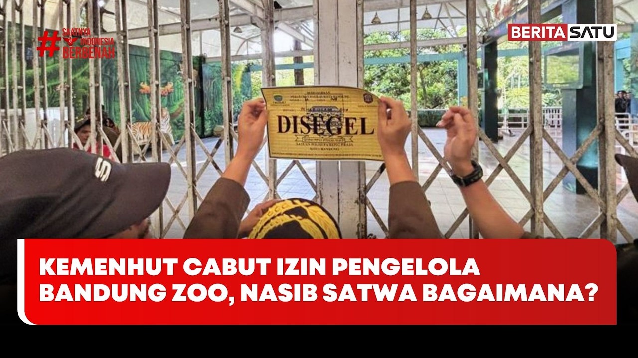 Kemenhut Cabut Izin Pengelola Bandung Zoo, Nasib Satwa Bagaimana? #Beritasatu