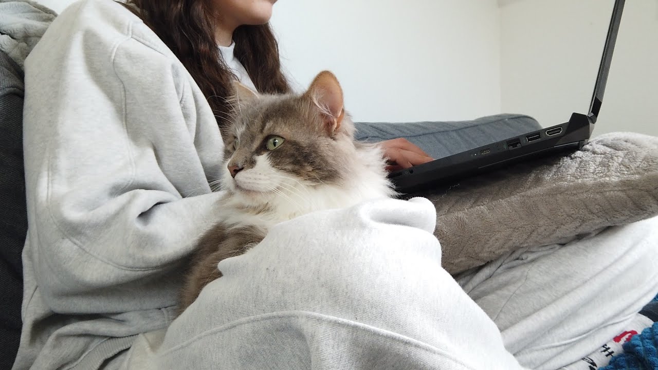 a chill afternoon at home 💖