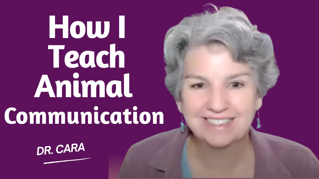 The Animal Communicator Academy Framework -- Build Your Skills with Confidence