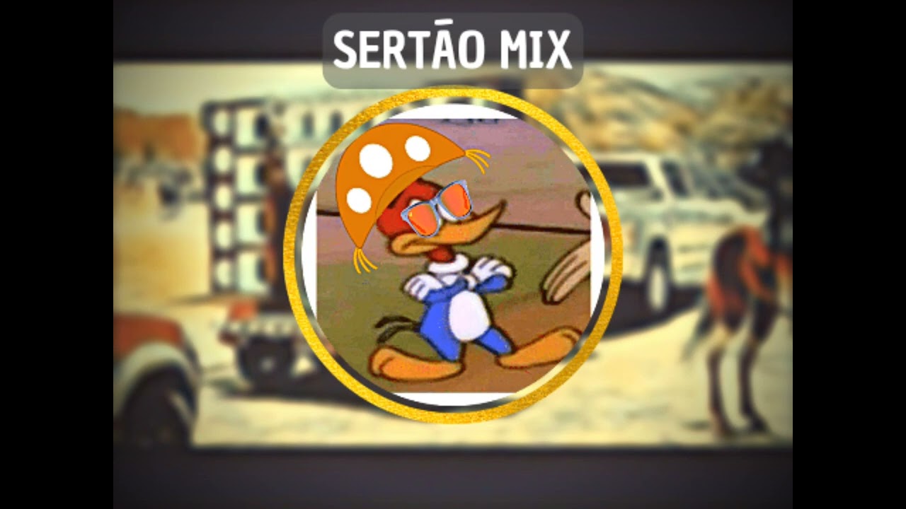 ASA BRANCA • SUCESSO DOS PAREDÕES • LUIZ GONZAGA #REMIX