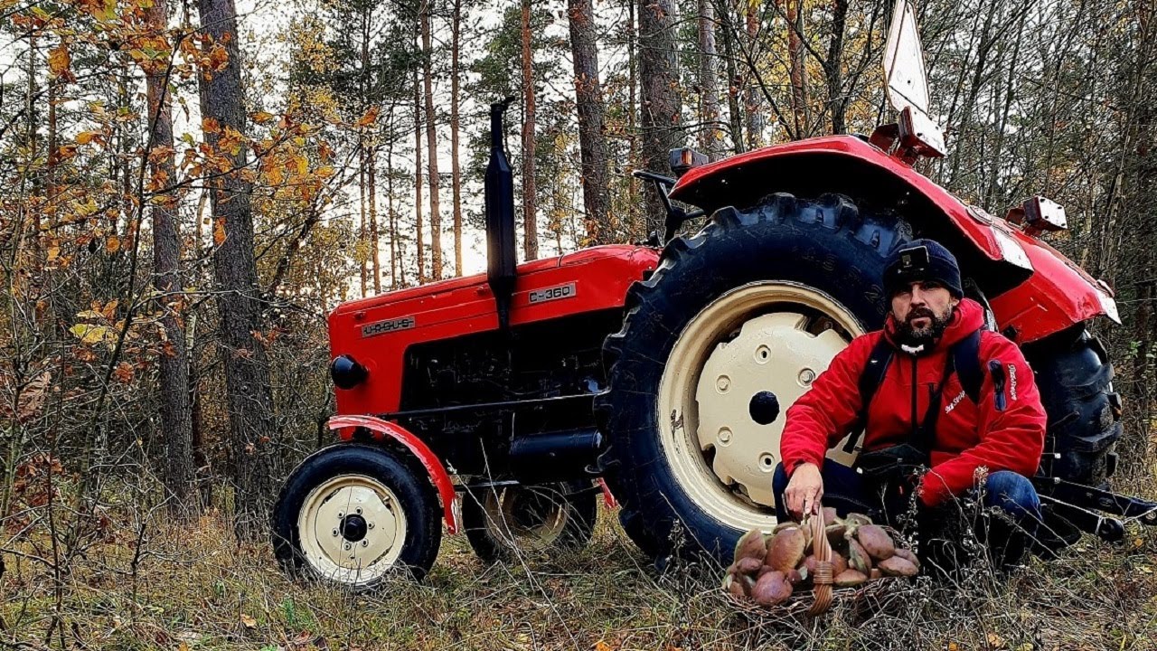 URSUSEM C-4011 NA GRZYBY.  TO CO ZOBACZYŁEM W LESIE PRZYPRAWIŁO MNIE O ZAWRÓT GŁOWY !