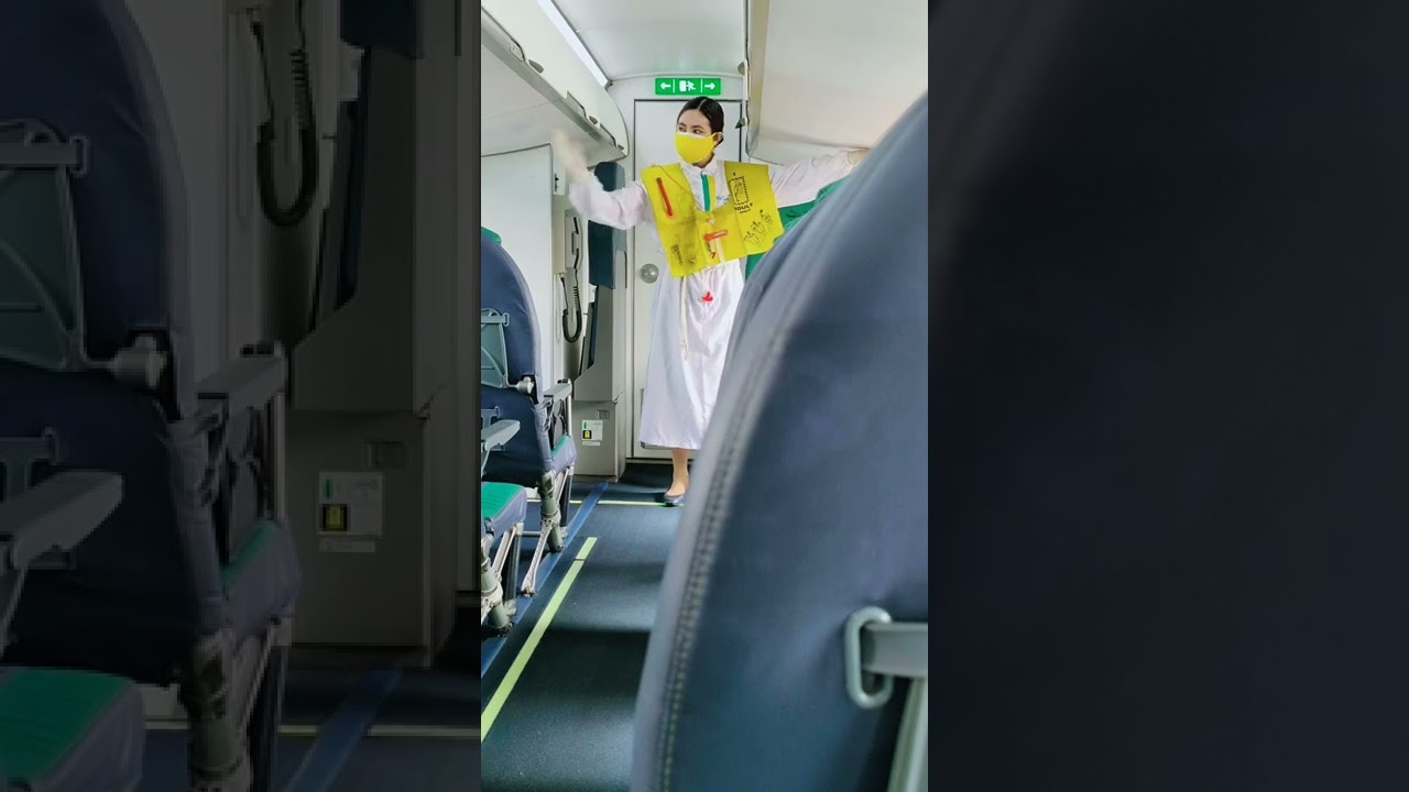 PANDEMIC FLIGHT
