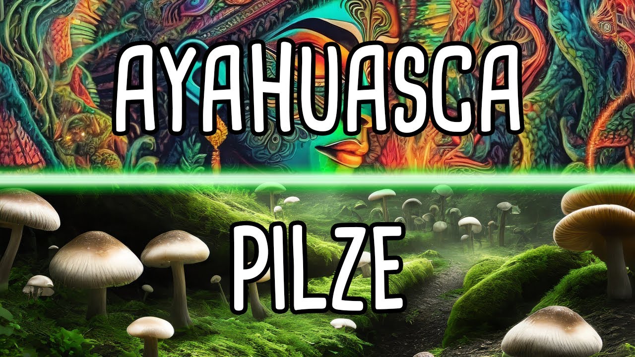 Ayahuasca vs. Pilze - der Vergleich!