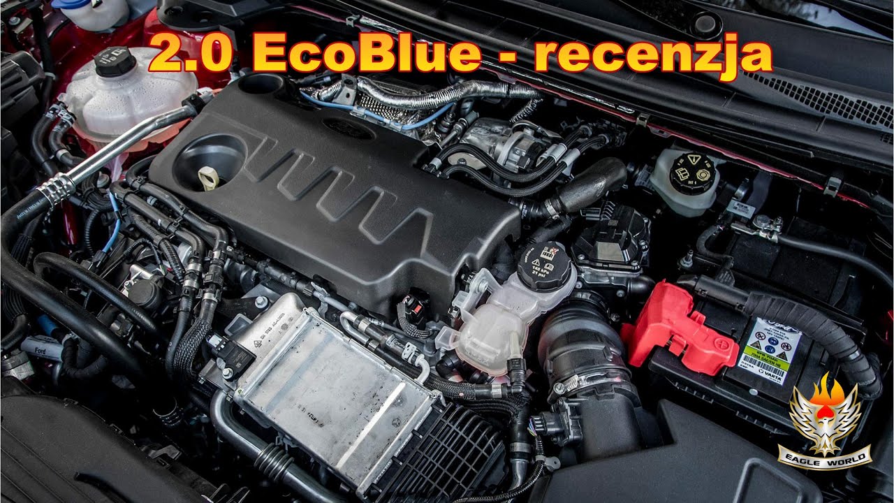 Silnik 2.0 EcoBlue - recenzja  🚘🔥