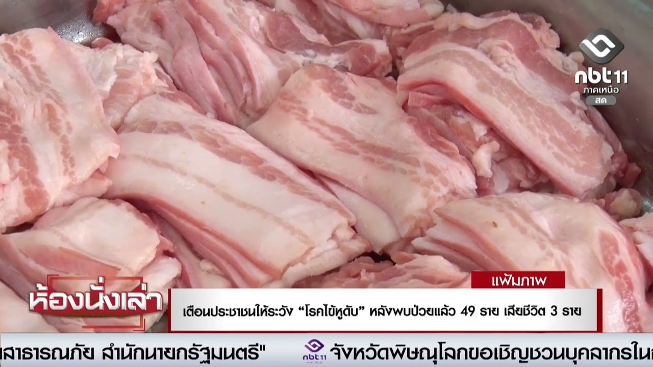 เตือนประชาชนให้ระวัง “โรคไข้หูดับ” หลังพบป่วยแล้ว 49 ราย เสียชีวิต 3 ราย