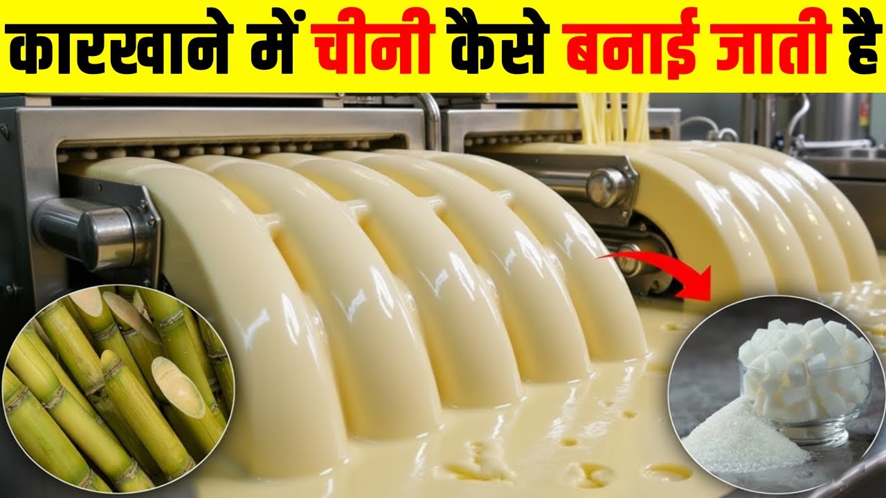 चीनी कैसे बनती है? | How Sugar Is Made In Factory in hindi | how sugar made | sugarcane to sugar