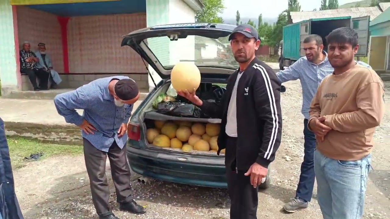 Федя и закас барой хдтай
