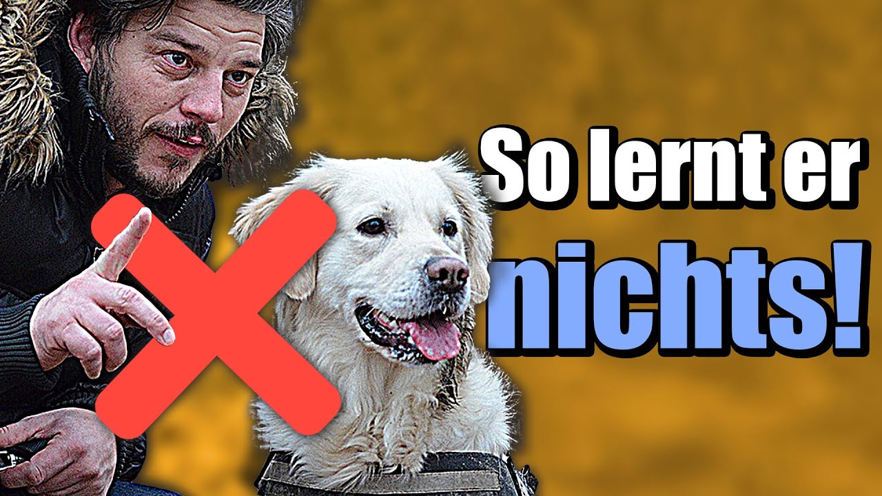Ablenken funktioniert nicht und stört den Lernprozess!