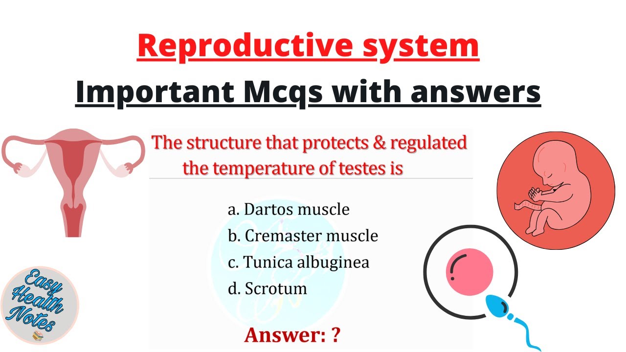 Know about Reproductive system ।। Important MCQs ( multiple choice questions) with answer Class 12