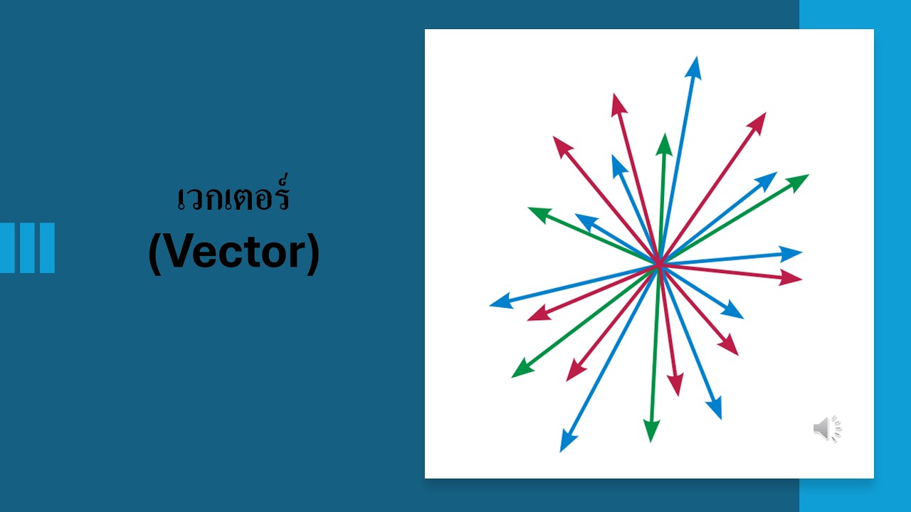 เวกเตอร์ ปวส