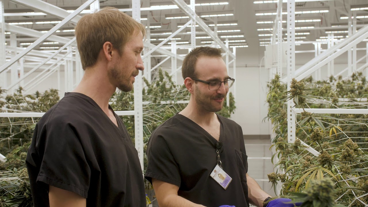 Fluence Innovator | Buckeye Relief Cultivates New Growth in the Rust Belt