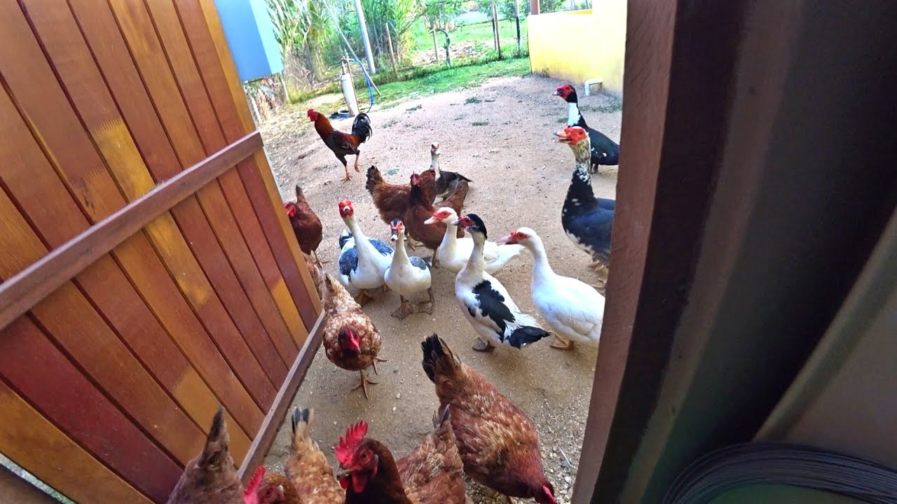 Alguém me explica isso..Tem base não ué..