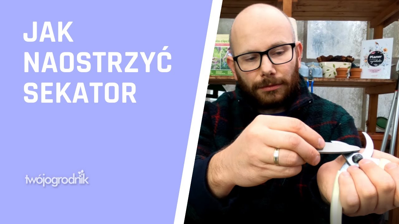 Jak naostrzyć sekator - prosto i na temat
