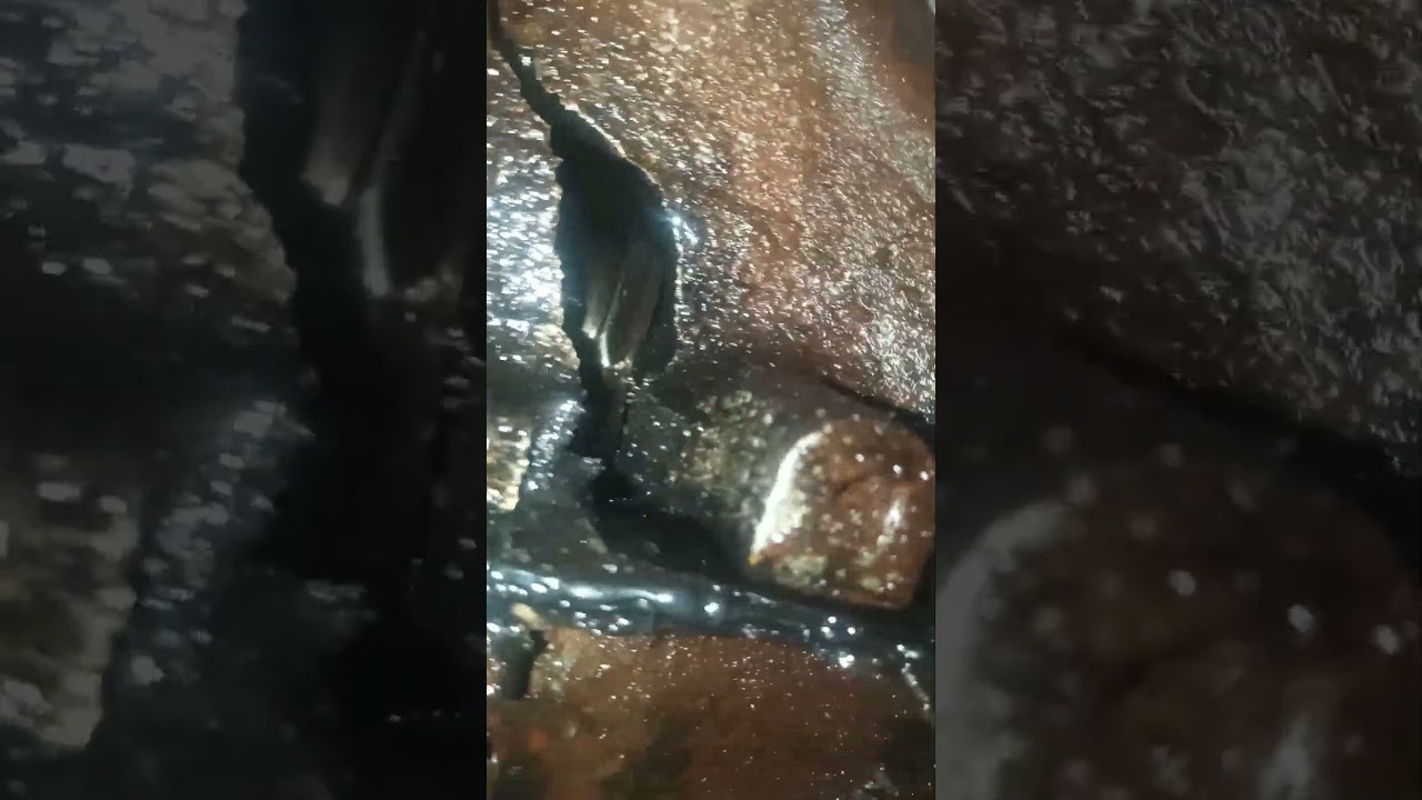 O Motor Fundiu... O Motor que fumava e batia Chegou ao Fim. 1 Ano e 3 Meses funcionando...
