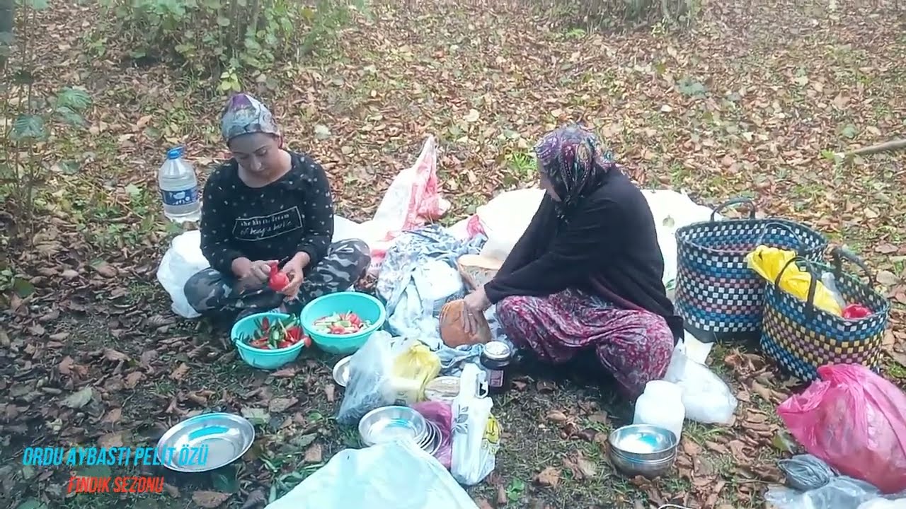 ORDU AYBASTI PELİTÖZÜ FINIKSEZONU / 2024