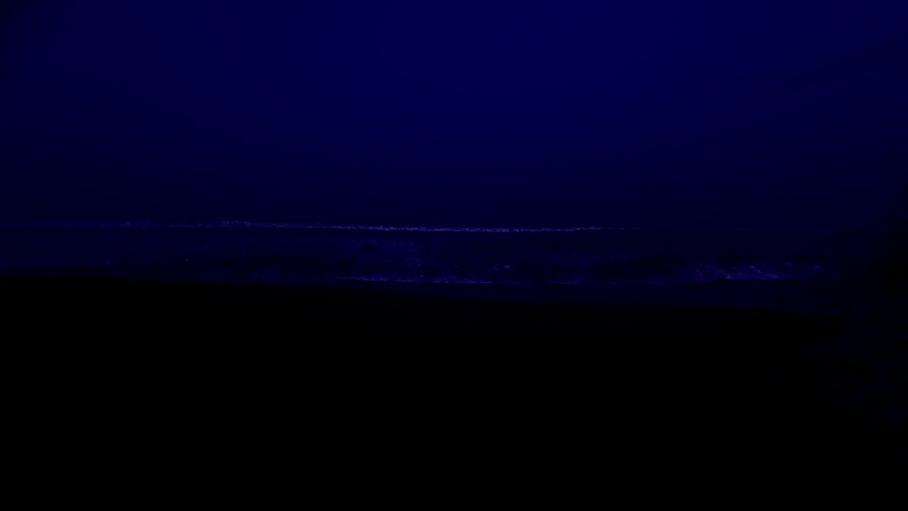 💤 Soothing Ocean Waves for Sleep | Calm Sea Sounds & Black Screen for Nighttime Rest