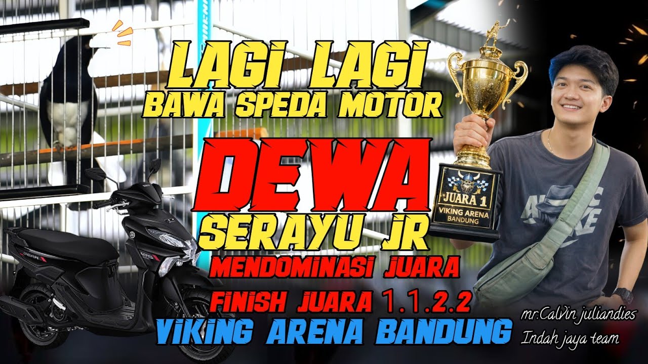 BAWA PULANG MOTOR KE 3X NYA🔸VIKING ARENA BANDUNG DEWA SERAYU 4 SESI FINISH JUARA 1.1.2.2🔸MR.CALVIN