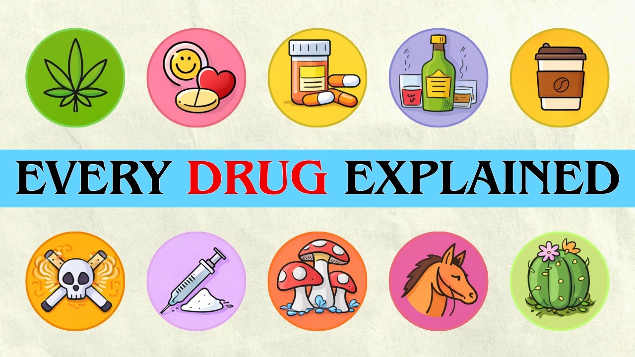 Every Drug & Its Effect Explained in 3 Hours