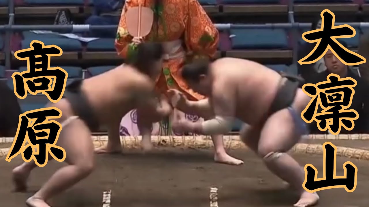 髙原VS大凜山 令和8年3月場所7日目（大阪場所） #sumo #相撲 #二子山部屋