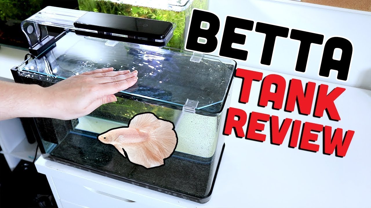 Aquatop Pisces: All-in-One Nano Glass Aquarium 🔹 UNBOXING & REVIEW